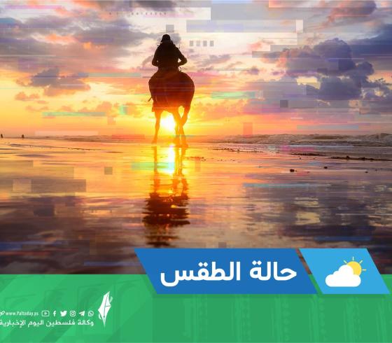 حالة الطقس.