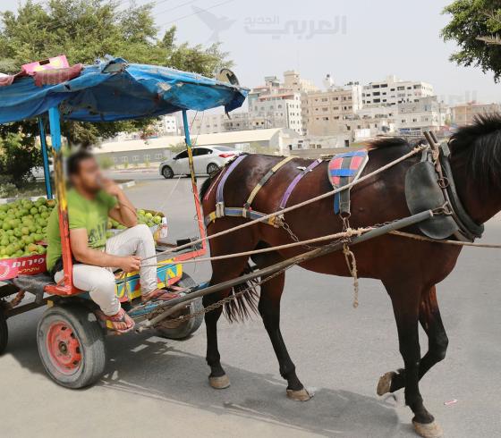 باعة-متجولون-في-شوارع-قطاع-غزة.jpg