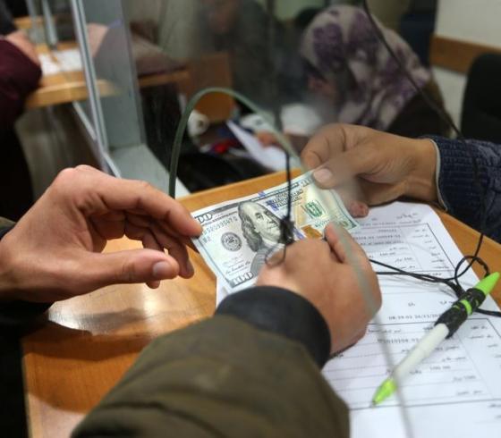 رابط فحص المنحة القطرية