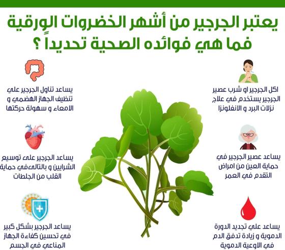 فوائد الجرجير