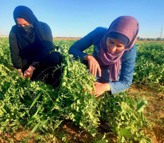 خريجات جامعيات يكسرن حاجز البطالة