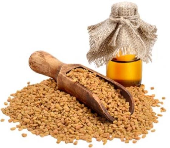 بذور الحلبة