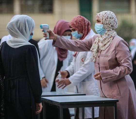 كورونا غزة.jpg