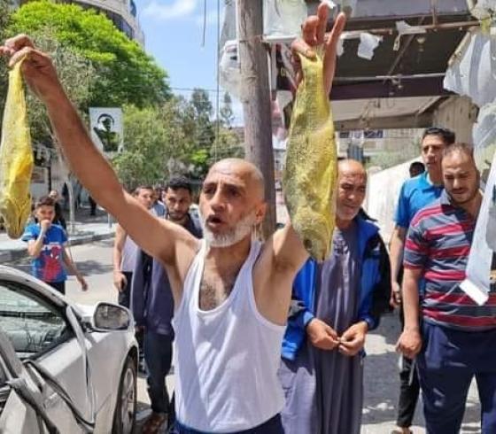 سمك الفسيك بنك اهداف لاسرائيل.jpg