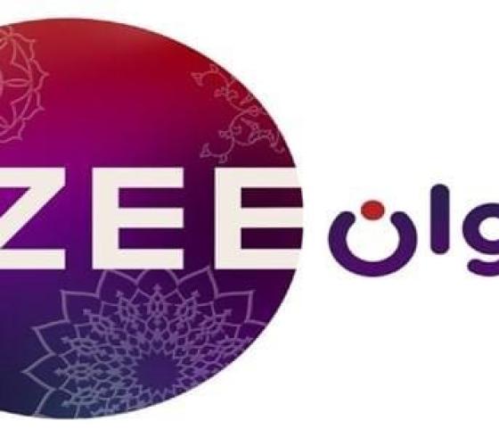 تردد-قناة-زي-الوان-zee-alwan-الجديد-2020-على-النايل-سات.jpg