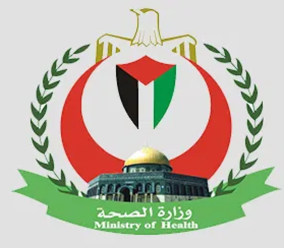 وزارة الصحة توضح حقيقة الشاحنة المصرية المحملة بعدد قليل من علب الادوية