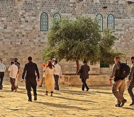 مستوطنون يقتحمون القدس (2).jpeg