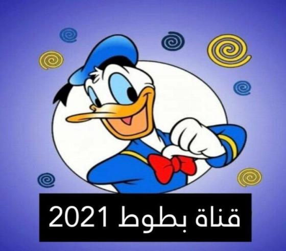 قناة بطوط كيدز.jpg