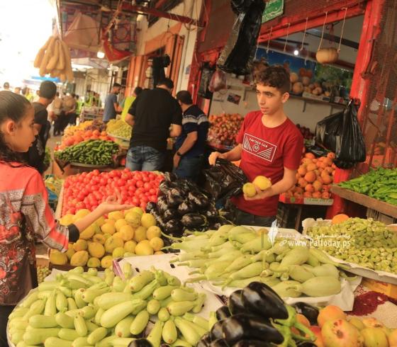 أسعار الخضروات والدجاج في غزة اليوم الثلاثاء 6 يونيو 2023