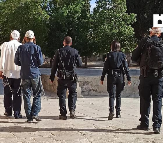 المسجد الأقصى (1).jpeg