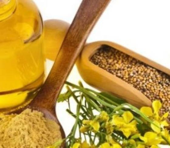 طريقة عمل زيت الحلبة