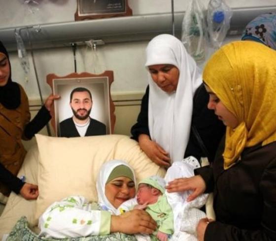 نطف الأسرى.jpg