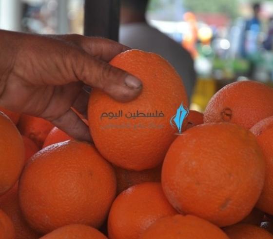 برتقال حمضيات.jpg