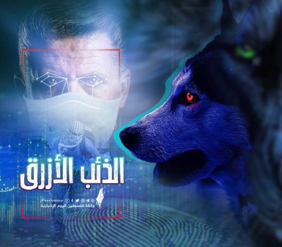 الذئب الازرق.jpeg