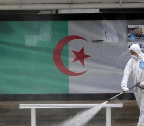 كورونا في الجزائر