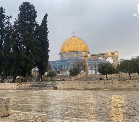 القسطل8.jpg
