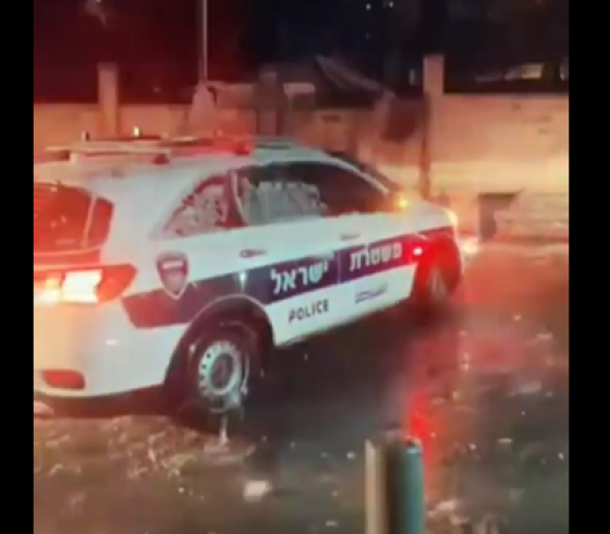 صورة من الفيديو