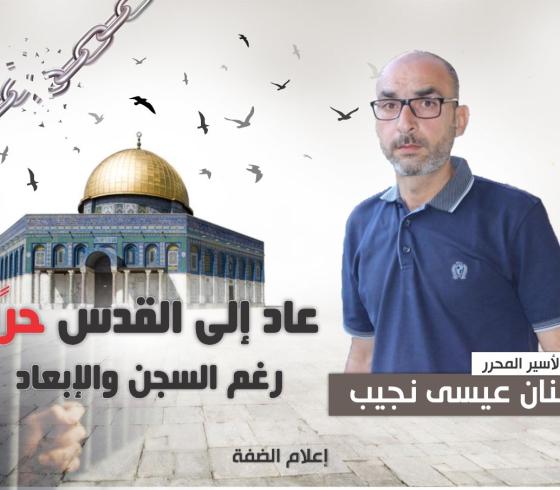 عنان نجيب