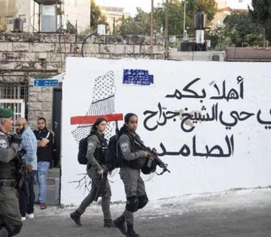 ارشيفية