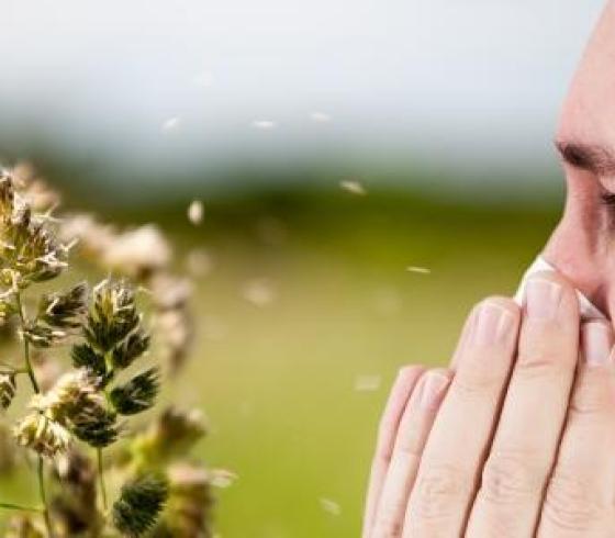 أسباب الحساسية الأكثر انتشارا