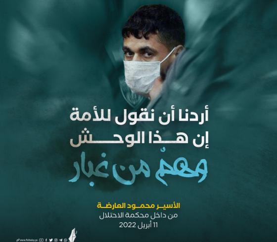 محمود العارضة.jpg
