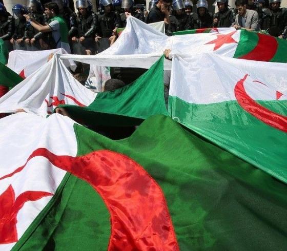 مشاهدة مباراة الجزائر وتنزانيا اليوم مباشر