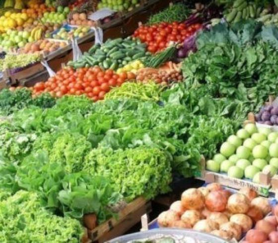 أسعار الخضروات والدجاج في غزة اليوم الخميس