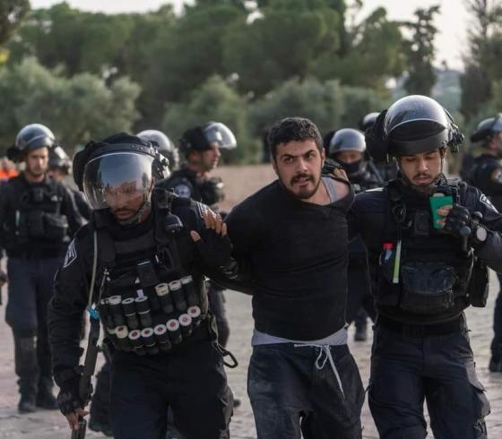 ارشيفية