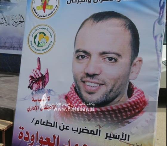 محمد عواودة.jfif