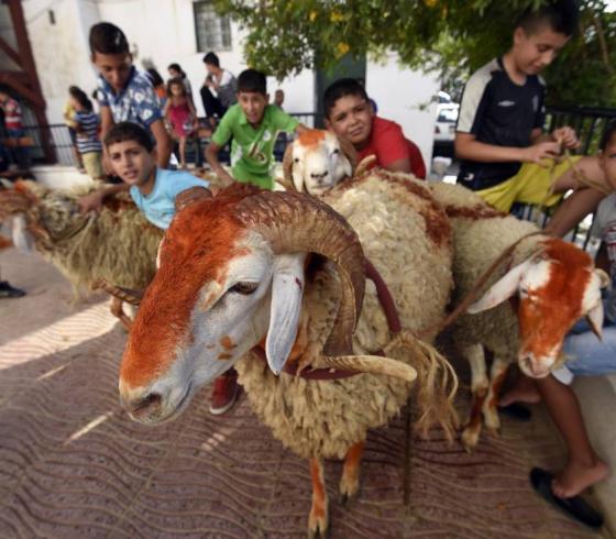 موعد عيد الأضحى 2022 في الجزائر