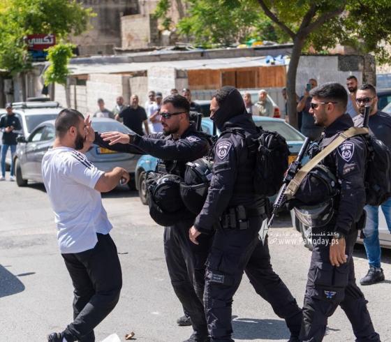 ارشيفية
