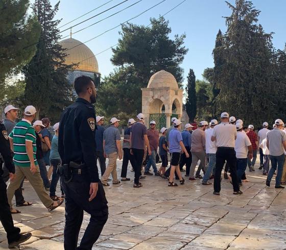59 مستوطناً يقتحمون باحات الأقصى في الفترة المسائية