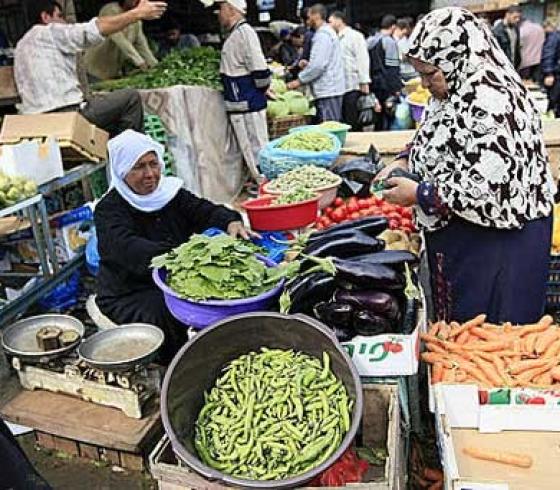 أسعار الدجاج والخضروات في غزة اليوم الاثنين 8 أغسطس 2022
