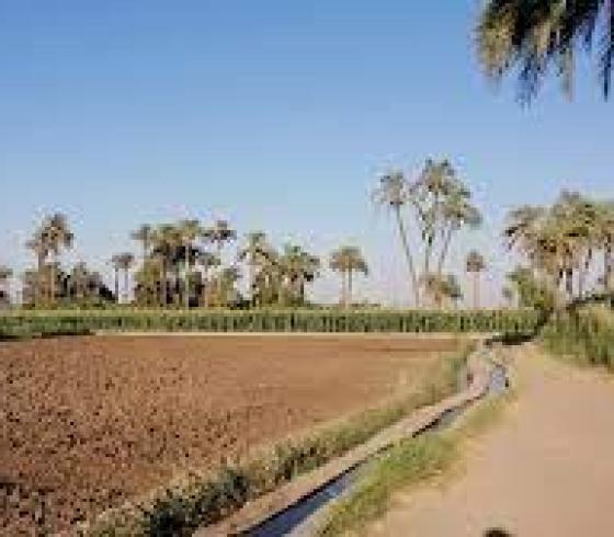 صعيد مصر.jpg