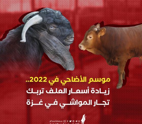 موسم الاضاحي