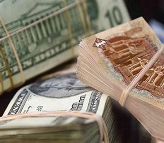 سعر الدولار اليوم في مصر تحديث يومي