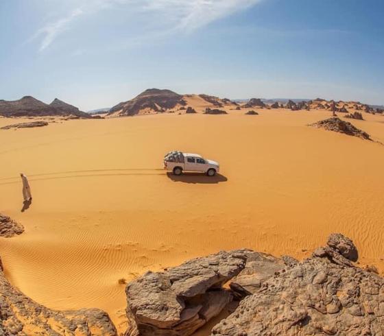 بنو لام وش يرجعون في السعودية- بنو لام ويكيبيديا 2022