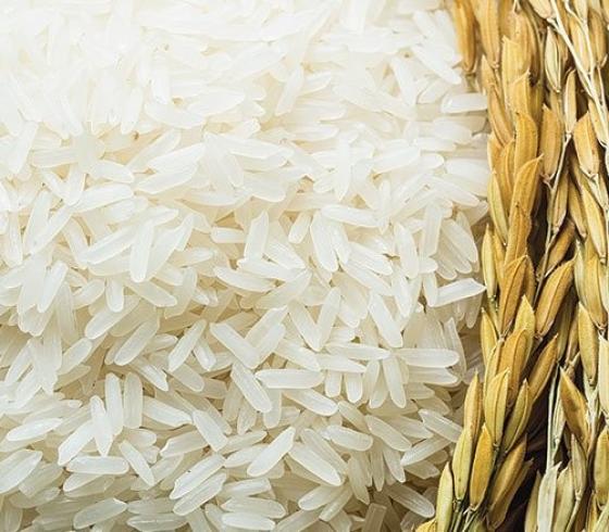 آثار جانبية مفاجئة لتناول الأرز الأبيض