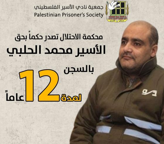 الحلبي.jpg