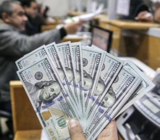 رابط فحص 100 دولار قبل قليل المنحة القطرية الجديد عن شهر 9-2022 من الاستعلام الحكومي بغزة