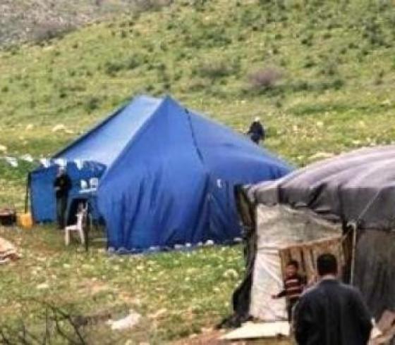 ارشيفية