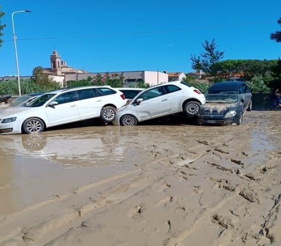 بحرية الاحتلال.