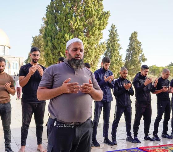 تواصل دعوات الحشد لإفشال مخططات المستوطنين في المسجد الأقصى