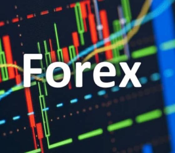 إليك أفضل شركات التداول المرخصة في السعودية ؟