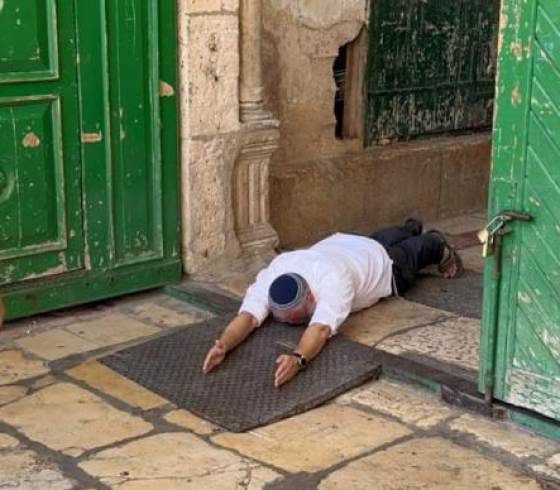 سجود ملحمي.PNG