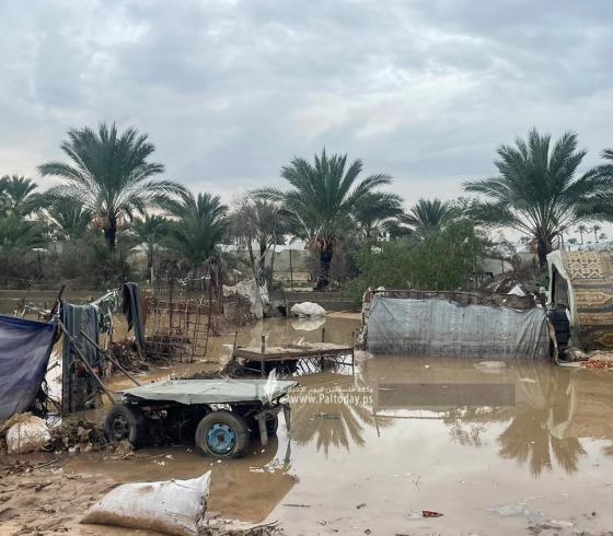 آثار المنخفض الجوي وفتح السدود في دير البلح (6).jpeg