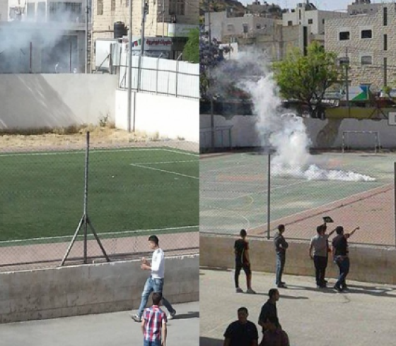 مدرسة.PNG