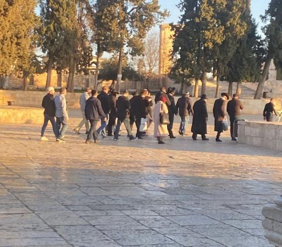 اقتحام المسجد الأقصى.jpeg