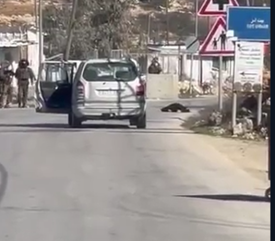اطلاق نار في الخليل.PNG