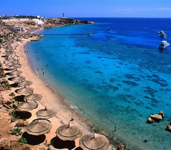 شواطئ.jpg